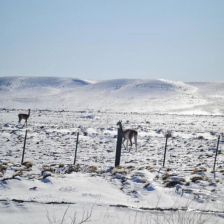 Calafates Y Lavandas Chile Chico Dış mekan fotoğraf